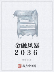 金融风暴2036免费无弹窗阅读