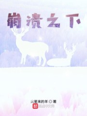 免费无弹窗阅读