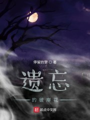 免费无弹窗阅读