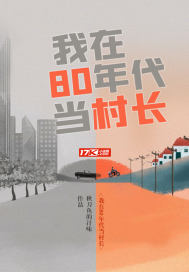 我在80年代当村长免费无弹窗阅读