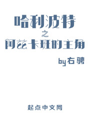 哈利波特之阿兹卡班的主角免费无弹窗阅读