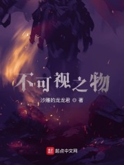 不可视之物免费无弹窗阅读