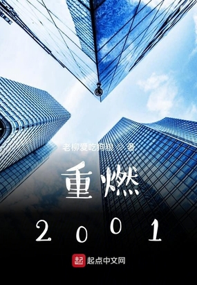 重燃2001免费无弹窗阅读