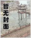 风流神针免费无弹窗阅读