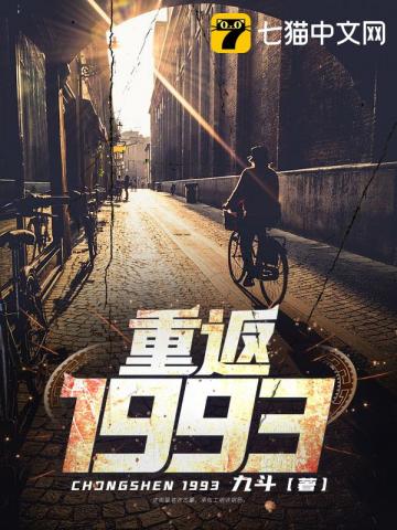 重返1993免费无弹窗阅读