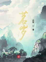 茗岁免费无弹窗阅读