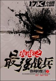 抗战之最强战兵免费无弹窗阅读