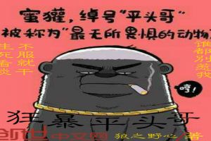 狂暴平头哥免费无弹窗阅读