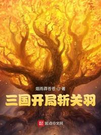 三国开局斩关羽华雄免费无弹窗阅读