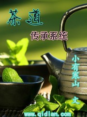 茶道传承系统免费无弹窗阅读