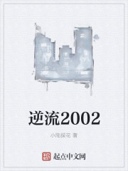 逆流2002免费无弹窗阅读