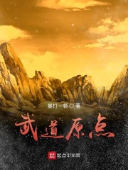 武道原点免费无弹窗阅读