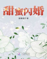 甜蜜闪婚免费无弹窗阅读