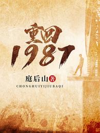 重回1987免费无弹窗阅读