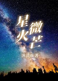 星火微芒免费无弹窗阅读