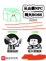 从山寨npc到大BOSS免费无弹窗阅读