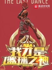 NBA：我才是篮球之神免费无弹窗阅读