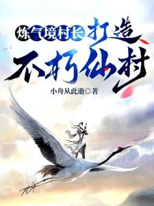 炼气境村长，打造不朽仙村免费无弹窗阅读