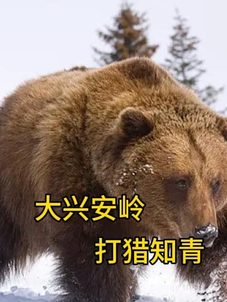 免费无弹窗阅读