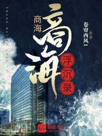 商海浮沉录免费无弹窗阅读