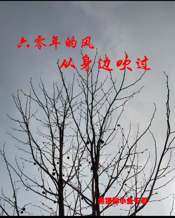 免费无弹窗阅读