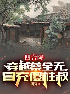 四合院：穿越蔡全无，冒充傻柱叔免费无弹窗阅读