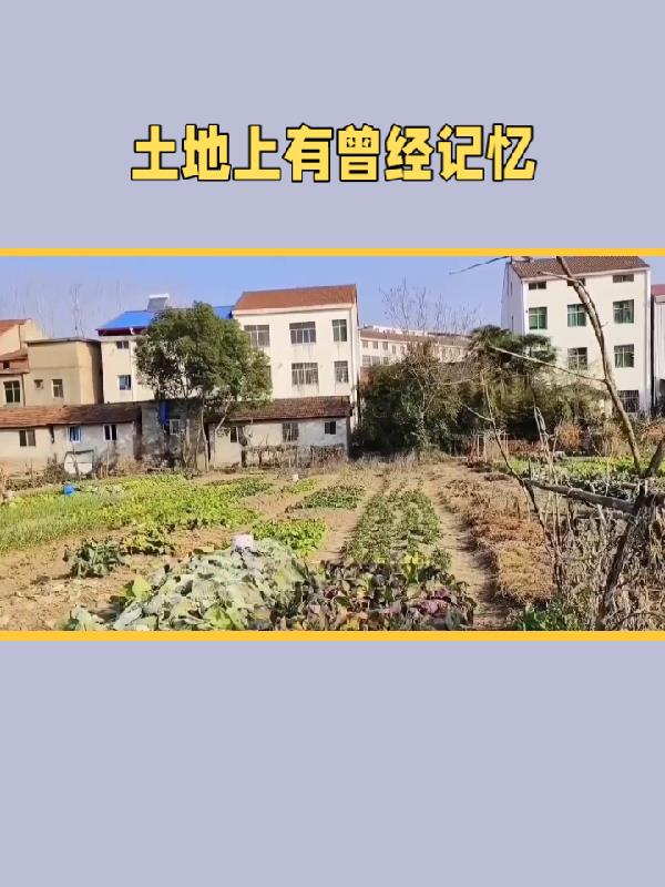 土地上有曾经记忆免费无弹窗阅读