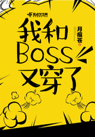 我和Boss又穿了免费无弹窗阅读