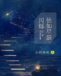 他如星辰闪烁免费无弹窗阅读