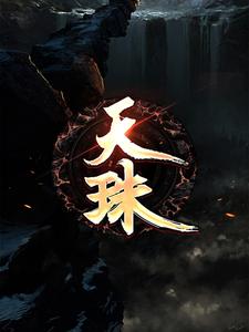 天珠免费无弹窗阅读