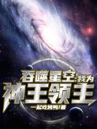 吞噬星空：我为神王领主免费无弹窗阅读