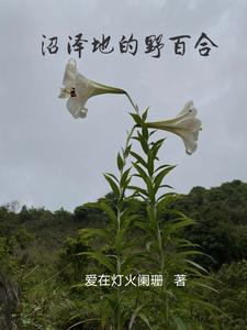 沼泽地的野百合免费无弹窗阅读