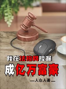 我在法拍网捡漏成亿万富豪免费无弹窗阅读