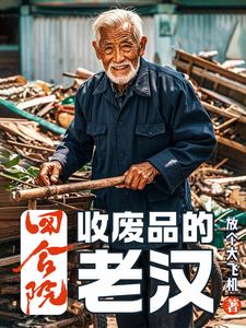 四合院：废品佬魂穿60年免费无弹窗阅读