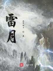 雷月免费无弹窗阅读