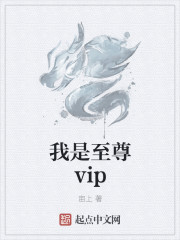 至尊vip充值系统免费无弹窗阅读