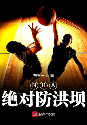 NBA绝对防洪坝免费无弹窗阅读