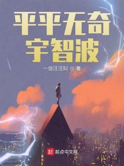 平平无奇宇智波免费无弹窗阅读