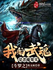 斗罗之我的武魂是恶魔果实免费无弹窗阅读