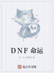 DNF无限邂逅之凌驾命运免费无弹窗阅读