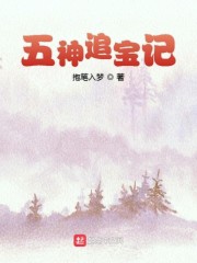 五神追宝记免费无弹窗阅读